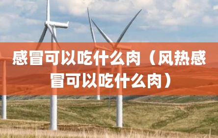 感冒可以吃什么肉（风热感冒可以吃什么肉）