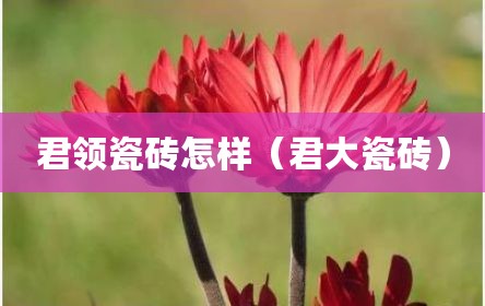 君领瓷砖怎样（君大瓷砖）