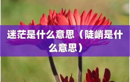 迷茫是什么意思（陡峭是什么意思）