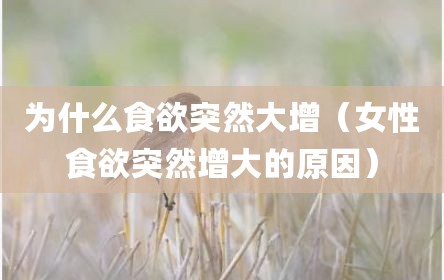 为什么食欲突然大增（女性食欲突然增大的原因）
