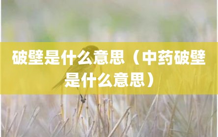破壁是什么意思（中药破壁是什么意思）