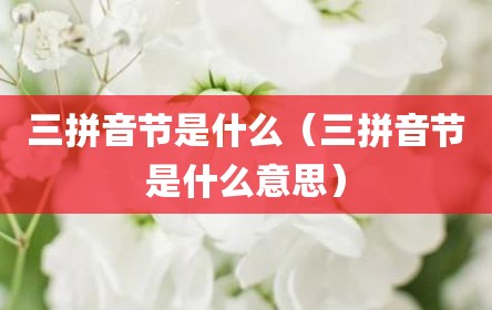 三拼音节是什么（三拼音节是什么意思）