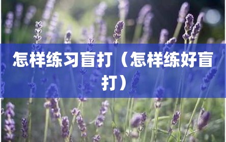 怎样练习盲打（怎样练好盲打）