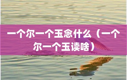 一个尔一个玉念什么（一个尔一个玉读啥）