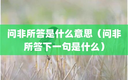 问非所答是什么意思（问非所答下一句是什么）