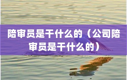 陪审员是干什么的（公司陪审员是干什么的）