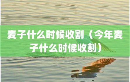 麦子什么时候收割（今年麦子什么时候收割）