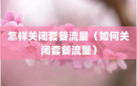 怎样关闭套餐流量（如何关闭套餐流量）