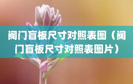 阀门盲板尺寸对照表图（阀门盲板尺寸对照表图片）