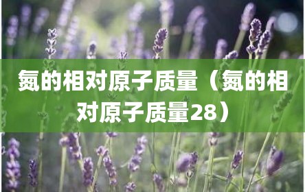 氮的相对原子质量（氮的相对原子质量28）