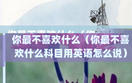 你最不喜欢什么（你最不喜欢什么科目用英语怎么说）