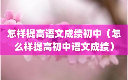 怎样提高语文成绩初中（怎么样提高初中语文成绩）