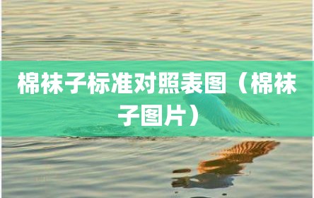 棉袜子标准对照表图（棉袜子图片）