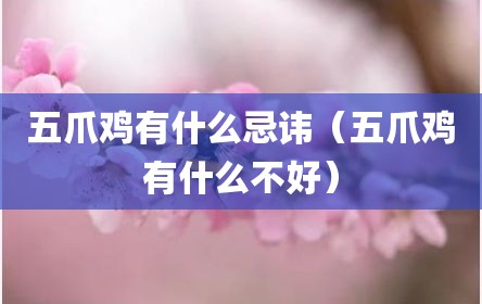 五爪鸡有什么忌讳（五爪鸡有什么不好）