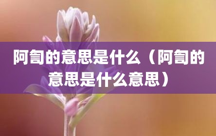 阿訇的意思是什么（阿訇的意思是什么意思）