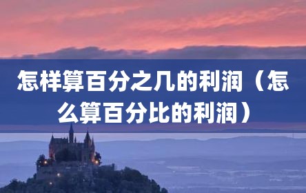 怎样算百分之几的利润（怎么算百分比的利润）