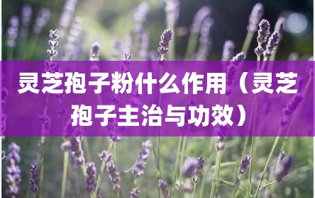 灵芝孢子粉什么作用（灵芝孢子主治与功效）