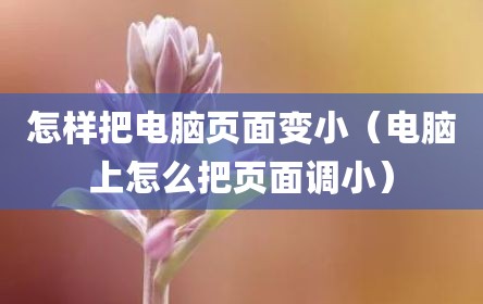 怎样把电脑页面变小（电脑上怎么把页面调小）