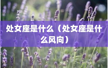 处女座是什么（处女座是什么风向）