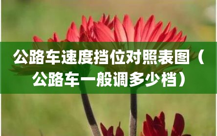 公路车速度挡位对照表图（公路车一般调多少档）
