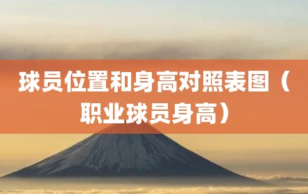 球员位置和身高对照表图（职业球员身高）