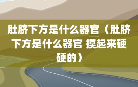 肚脐下方是什么器官（肚脐下方是什么器官 摸起来硬硬的）