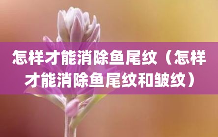 怎样才能消除鱼尾纹（怎样才能消除鱼尾纹和皱纹）