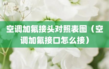 空调加氟接头对照表图（空调加氟接口怎么接）