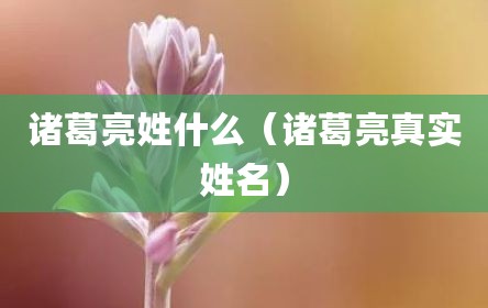 诸葛亮姓什么（诸葛亮真实姓名）