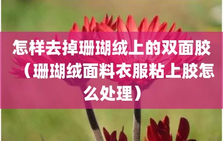 怎样去掉珊瑚绒上的双面胶（珊瑚绒面料衣服粘上胶怎么处理）
