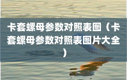 卡套螺母参数对照表图（卡套螺母参数对照表图片大全）