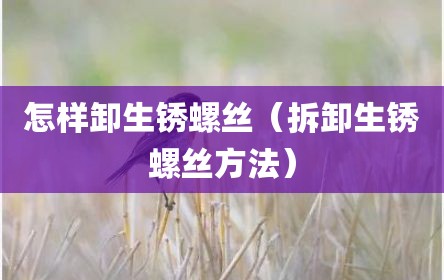 怎样卸生锈螺丝（拆卸生锈螺丝方法）