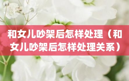 和女儿吵架后怎样处理（和女儿吵架后怎样处理关系）