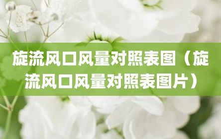 旋流风口风量对照表图（旋流风口风量对照表图片）