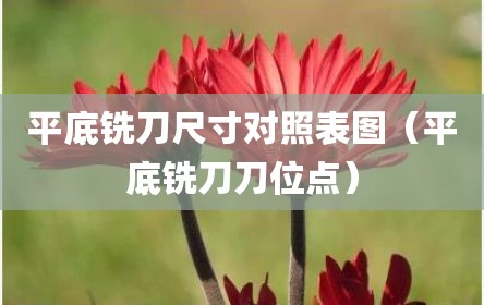 平底铣刀尺寸对照表图（平底铣刀刀位点）