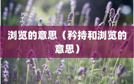 浏览的意思（矜持和浏览的意思）