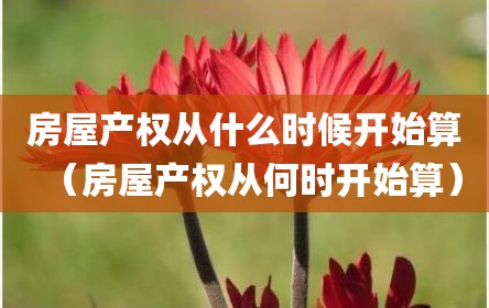 房屋产权从什么时候开始算（房屋产权从何时开始算）