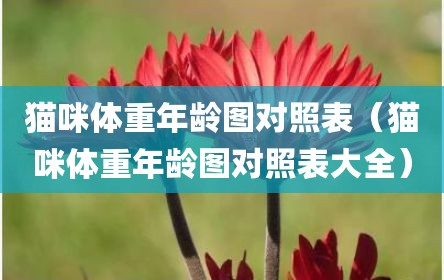 猫咪体重年龄图对照表（猫咪体重年龄图对照表大全）