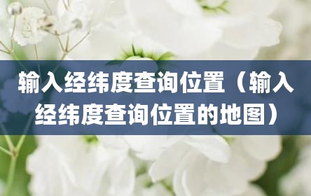 输入经纬度查询位置（输入经纬度查询位置的地图）