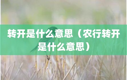 转开是什么意思（农行转开是什么意思）