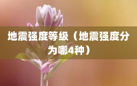 地震强度等级（地震强度分为哪4种）