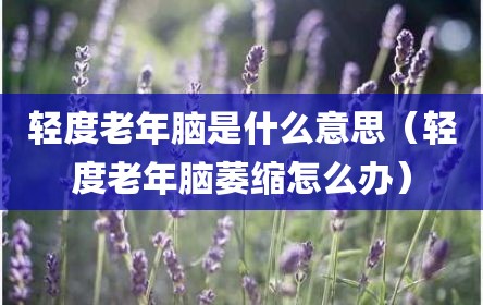 轻度老年脑是什么意思（轻度老年脑萎缩怎么办）