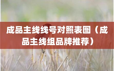 成品主线线号对照表图（成品主线组品牌推荐）