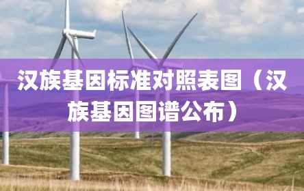 汉族基因标准对照表图（汉族基因图谱公布）