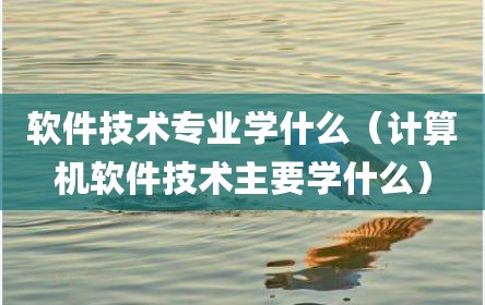 软件技术专业学什么（计算机软件技术主要学什么）
