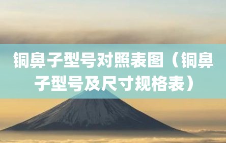 铜鼻子型号对照表图（铜鼻子型号及尺寸规格表）