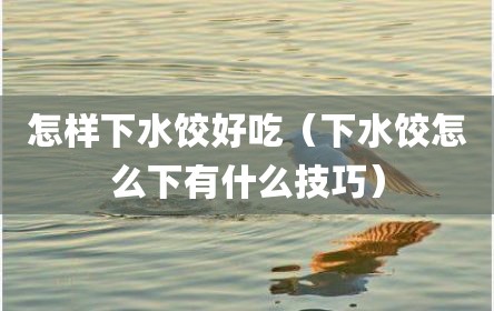 怎样下水饺好吃（下水饺怎么下有什么技巧）
