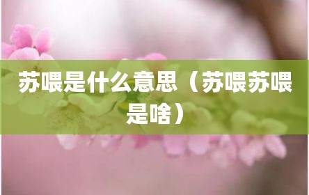 苏喂是什么意思（苏喂苏喂是啥）