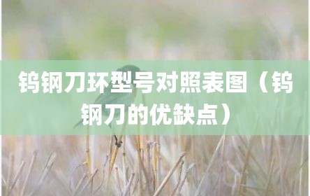钨钢刀环型号对照表图（钨钢刀的优缺点）