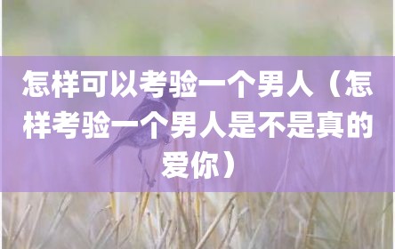 怎样可以考验一个男人（怎样考验一个男人是不是真的爱你）